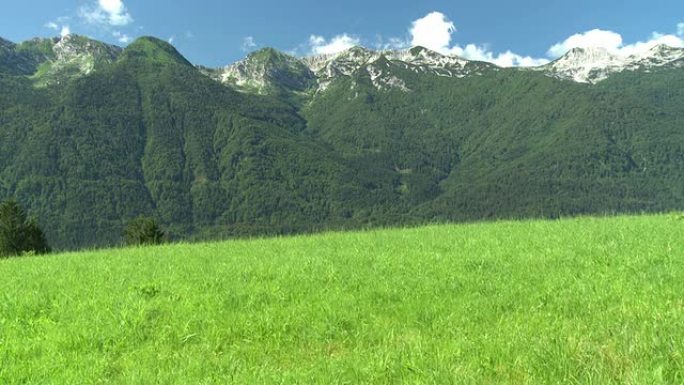 高清起重机: 朱利安阿尔卑斯山美丽的风景