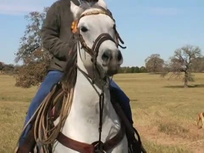 牛仔骑起来微笑牛仔骑马奔跑走进镜头草原