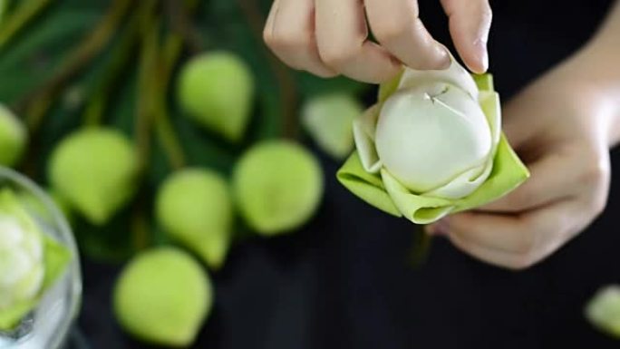 高速: 折叠莲花花瓣以尊重佛教