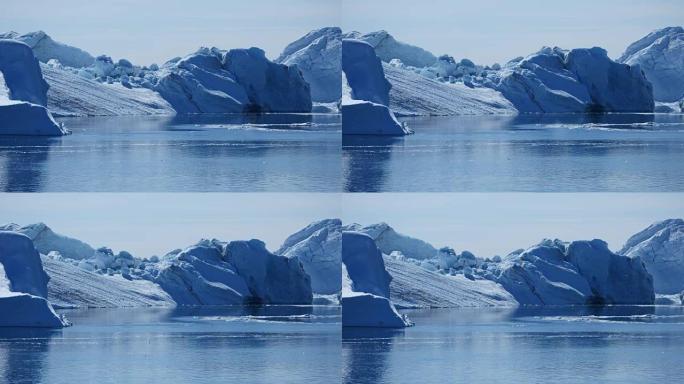 鲸鱼在有趣的冰层前潜水