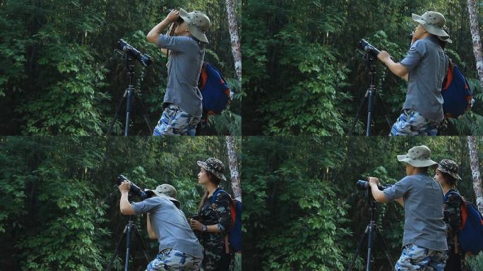野生动物摄影师在雨林丛林中拍摄鸟类照片