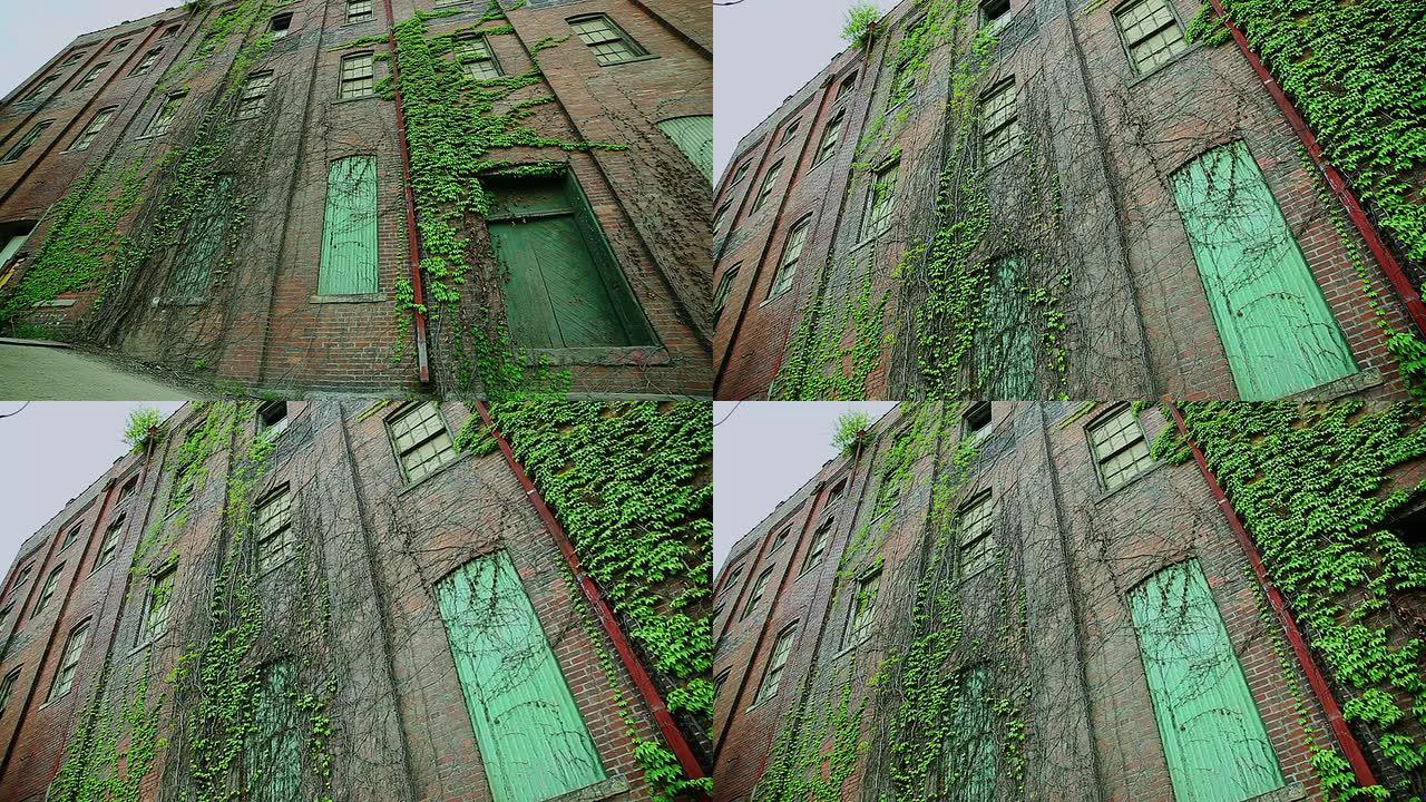 有爬行植物的破旧建筑