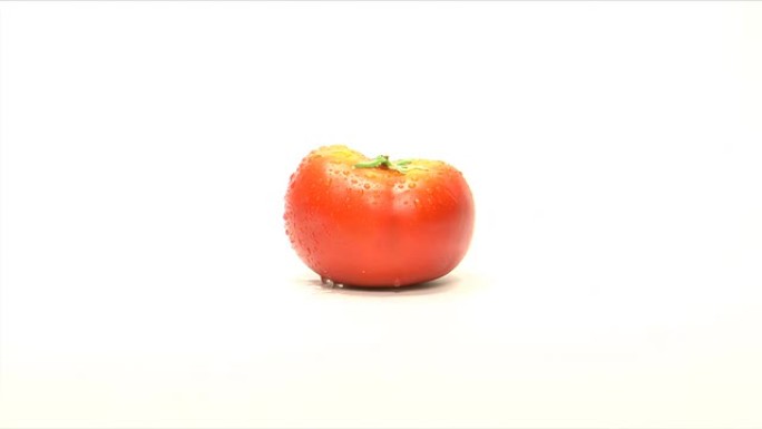 滴水番茄西红柿番茄西红柿入水