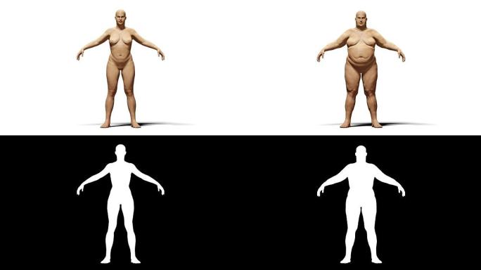 女性从超重到苗条的过程变形动画。用哑光隔离
