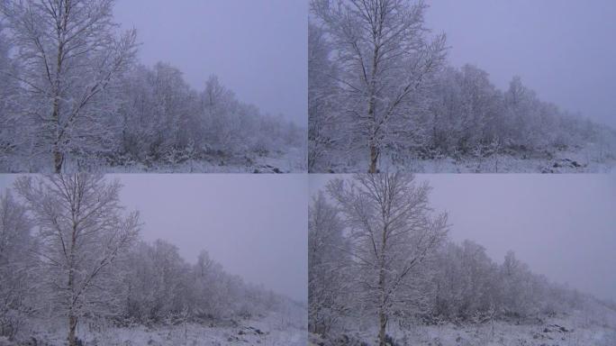 雪景雪林雪景冰天雪地