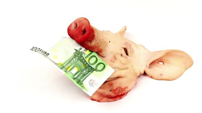 嘴里含着欧洲钞票的猪头