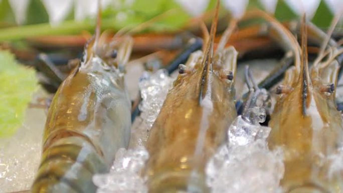 河虾和新鲜海鲜在冰上的特写镜头，平移镜头，4k(UHD)