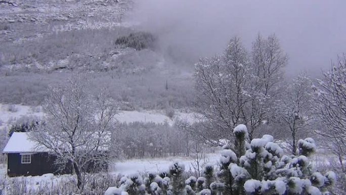 多雪的郊区。雪林雪景冰天雪地