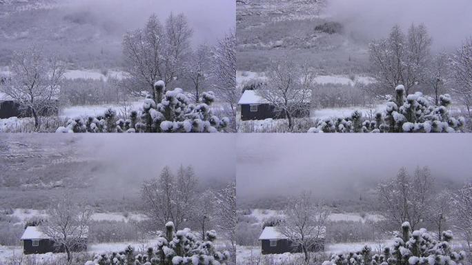 多雪的郊区。雪林雪景冰天雪地