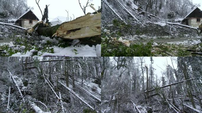 清除雨夹雪留下的破碎树木