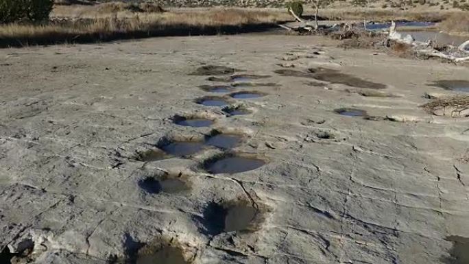 侏罗纪雷龙雷龙蜥脚类恐龙追踪炼狱科罗拉多河