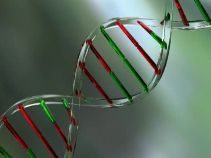 玻璃制成的DNA链