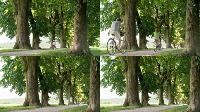 高清多莉: 年轻的家庭在公园骑自行车
