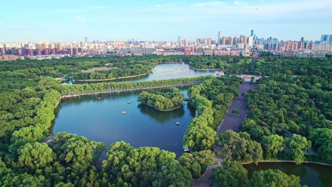 辽宁沈阳沈阳春夏季北陵公园城市风景航拍