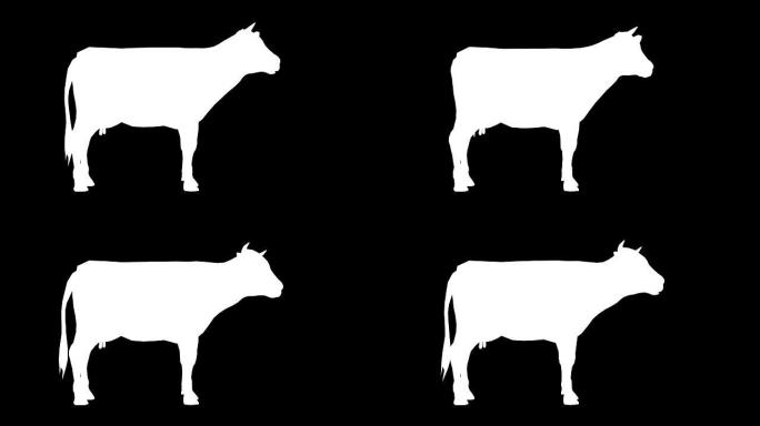 奶牛咀嚼轮廓 (可循环)