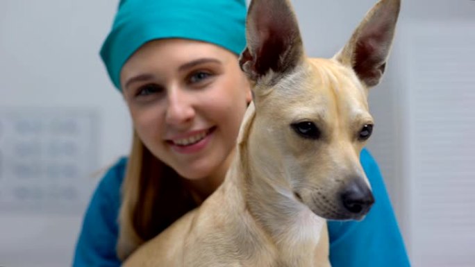 微笑的兽医医生和有趣的狗在镜头前摆姿势，专业宠物诊所护理