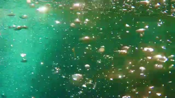 水下海泡和鱼群的大量流动