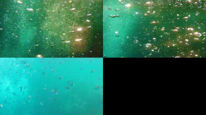 水下海泡和鱼群的大量流动