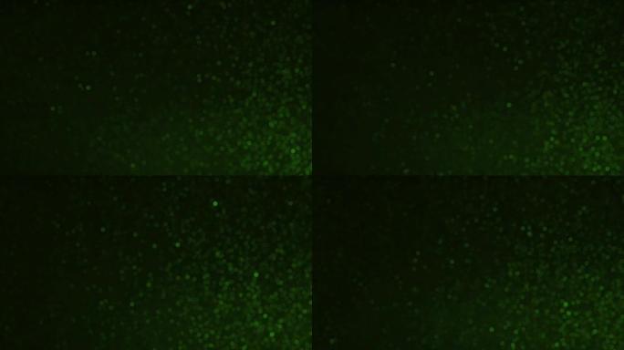 粒子绿色背景朦胧梦幻背景素材光线光影