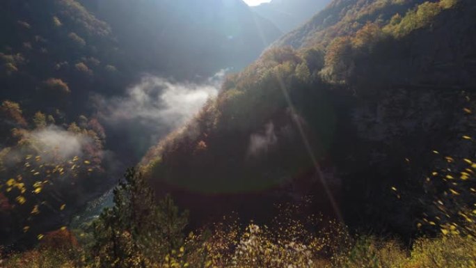 在Durmitor国家公园拍摄了一条薄雾笼罩的白水河的空中无人机