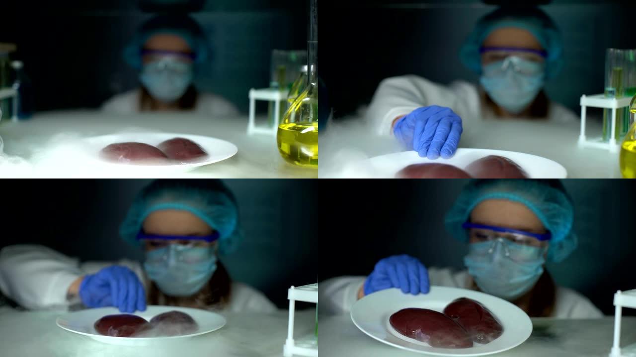 营养学家从冰箱中取出肾脏并检查属性，食物质量