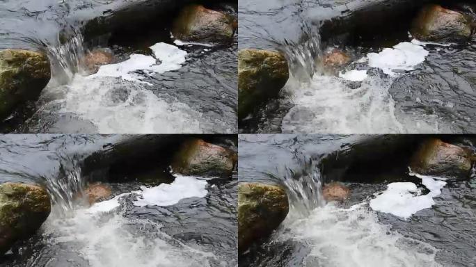 森林溪流在岩石上奔跑