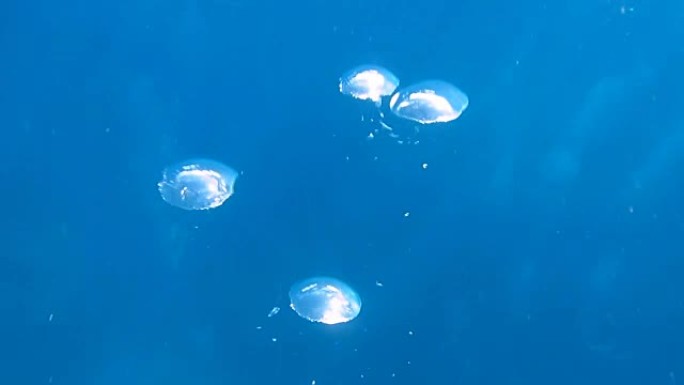 潜水员的气泡从海洋上升到海面。
