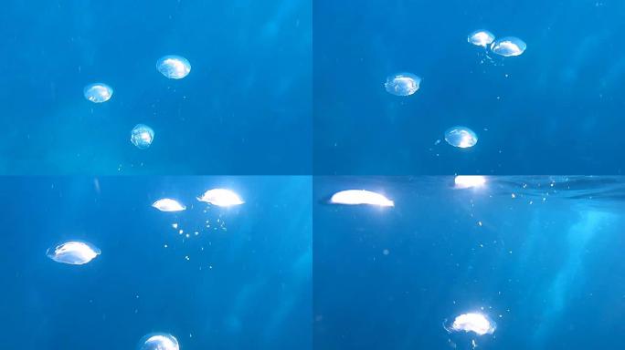 潜水员的气泡从海洋上升到海面。