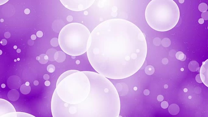 Moving Particles Loop - White bubble in purple col