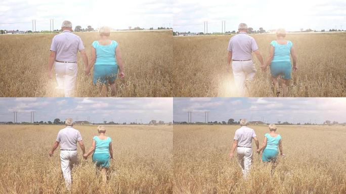 老年夫妇在燕麦场散步的两个视频 -- 慢动作