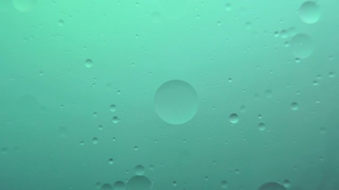绿色背景上的油泡宏观摄影