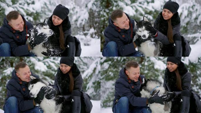 美丽的家庭，一个男人和一个女孩在冬季森林与狗。和狗西伯利亚哈士奇一起玩