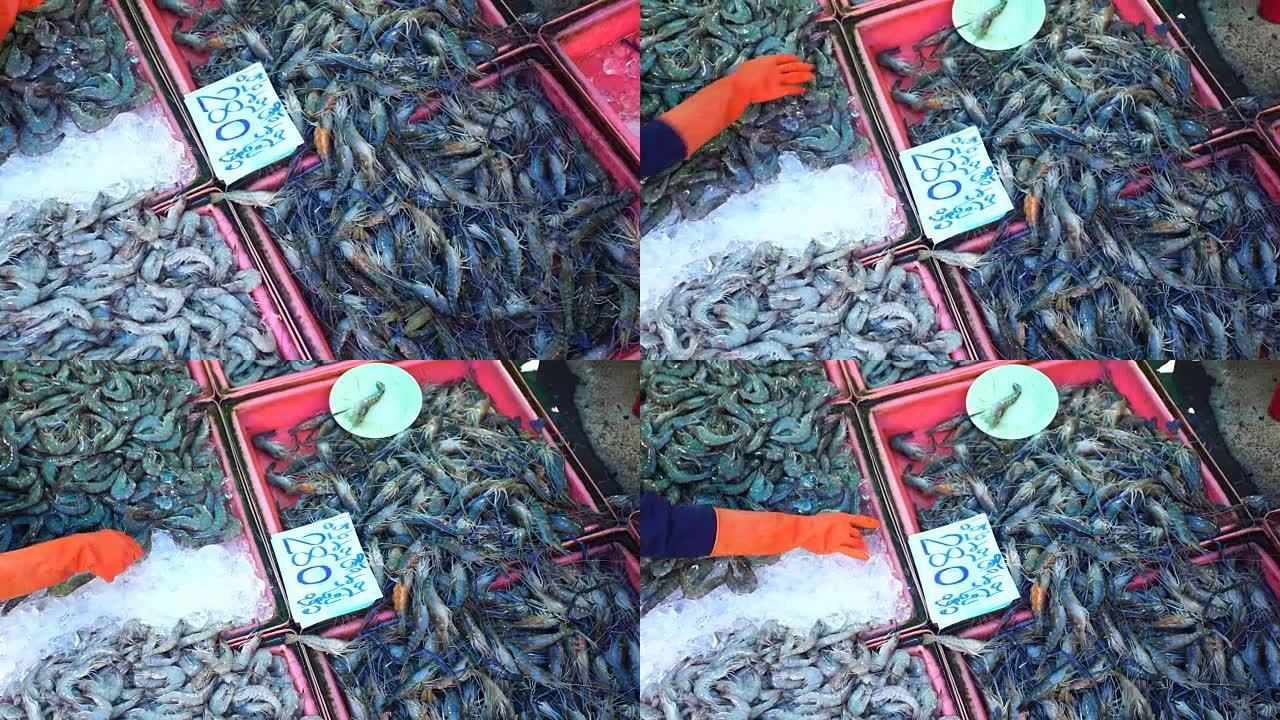 印度尼西亚爪哇岛Yogjakarta的虾场将大量虾倒入桶中。