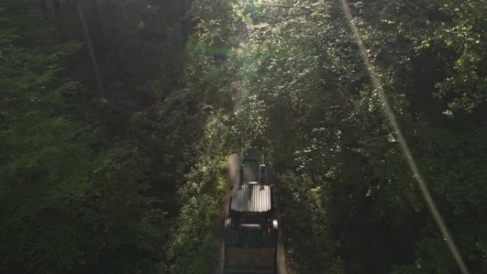空中无人机在德国自然保护区的森林中拍摄了一辆汽车