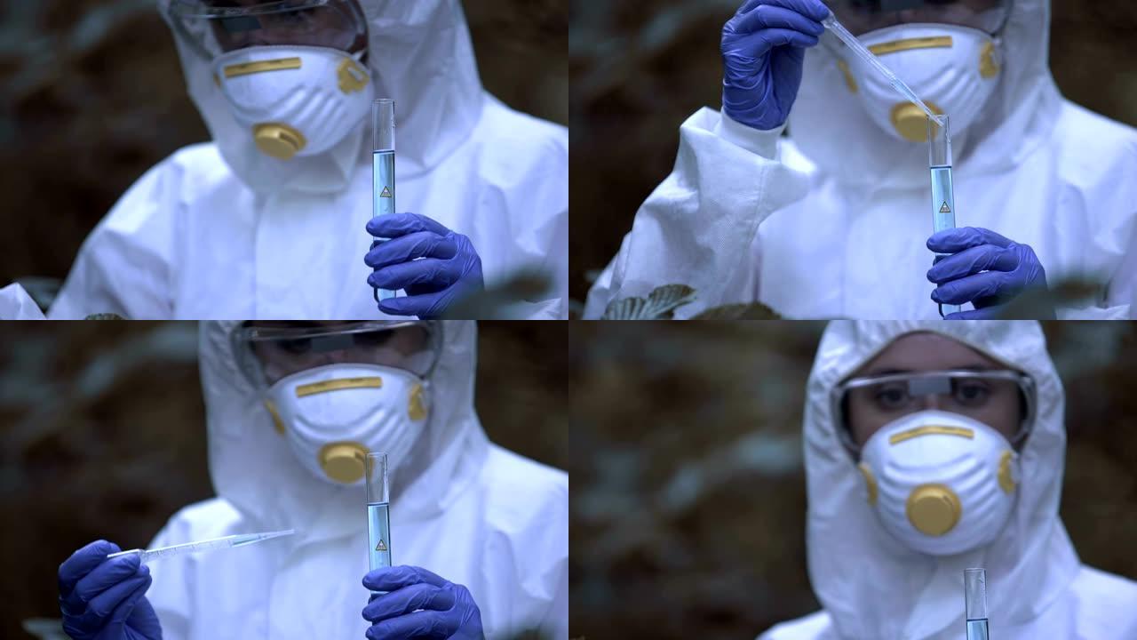 女生物学家检查受感染的水反应，受辐射影响的菌群