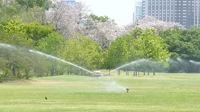 洒水器喷水公园浇花空气降温自动浇水