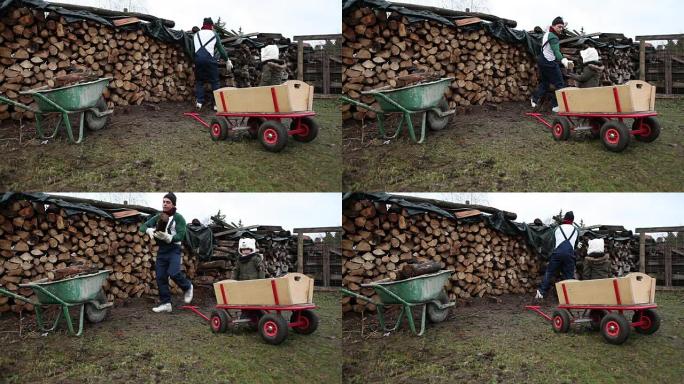 父子在农村辛勤工作