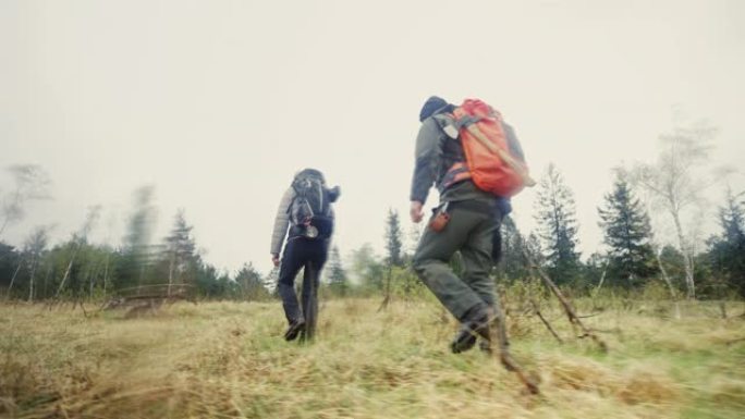 男女荒野生存专家在一大片空地上走向树林