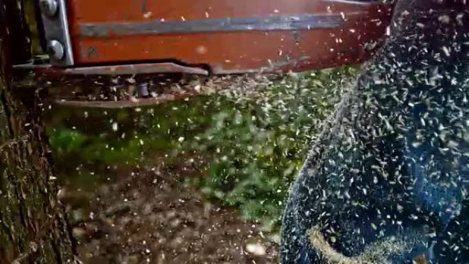 锯树时，SLO MO锯末飞来飞去