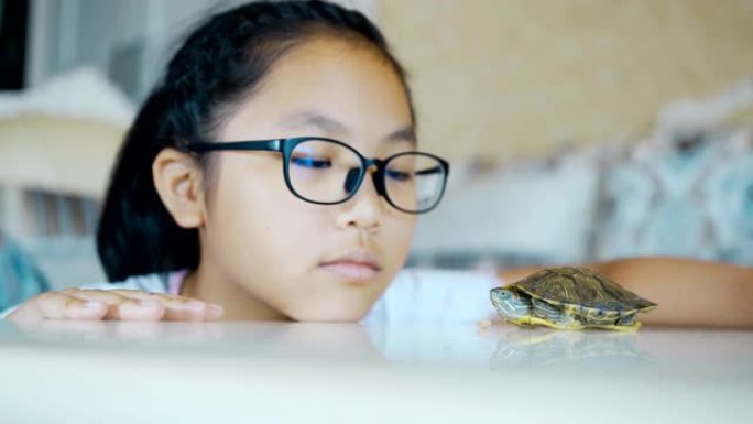 小女孩和她的宠物龟