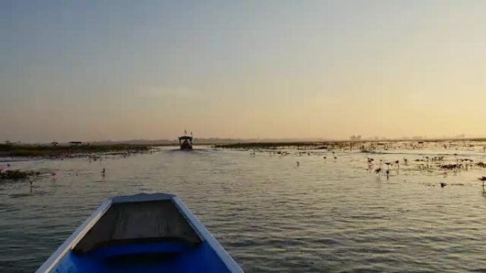 泰国乌隆他尼府粉红莲湖乘船旅行。