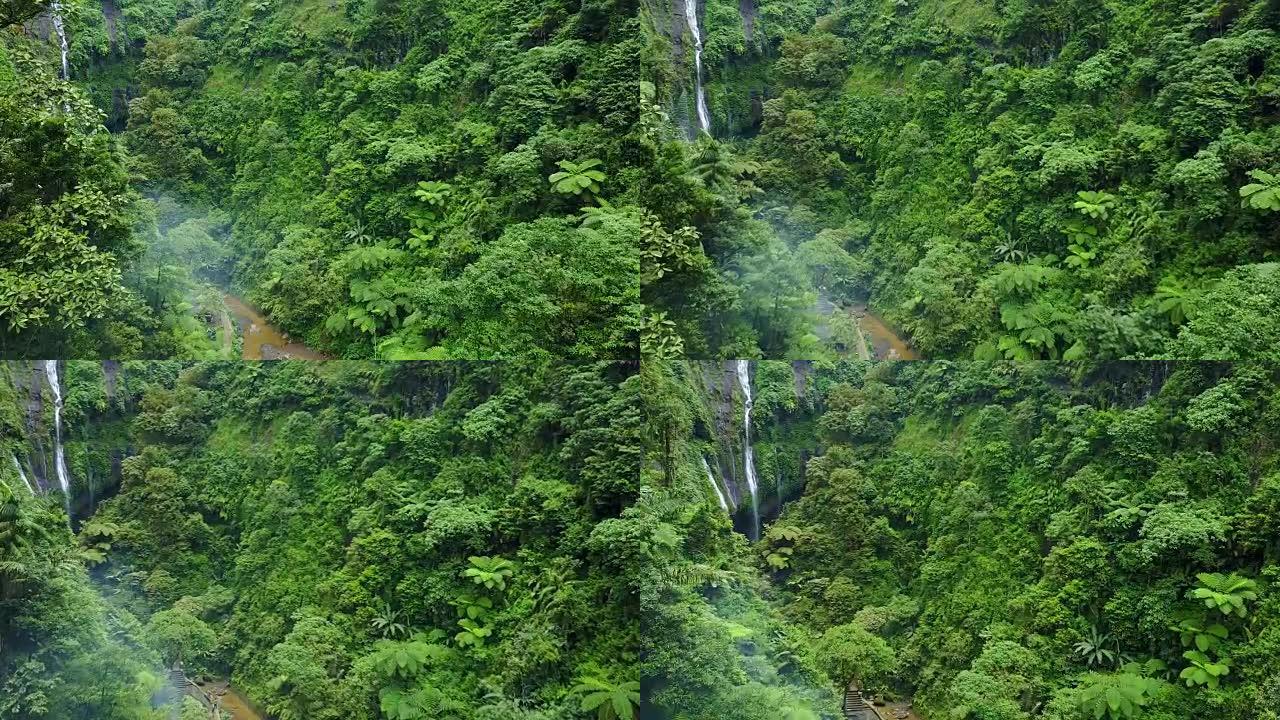 4K: 印度尼西亚东爪哇省Madakaripura瀑布无人机拍摄的鸟瞰图