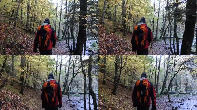 秋天在森林里散步的人