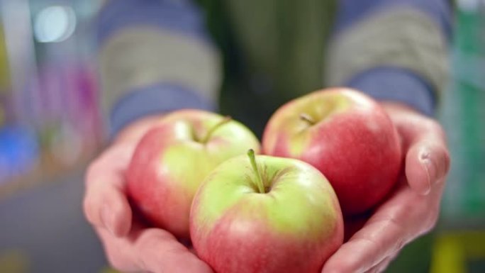 一个女人的手拿着三个红苹果
