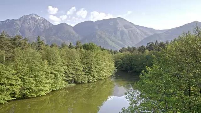 山下森林中的空中河流