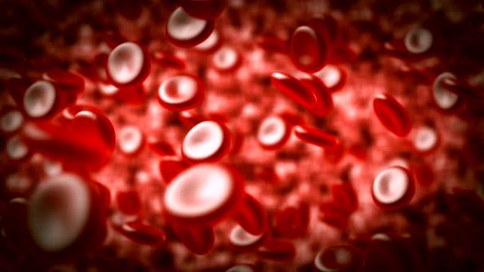 动脉中的红细胞。红细胞在血液中流动。