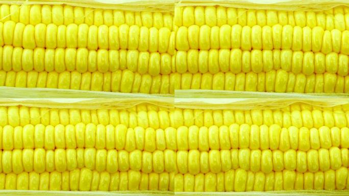 新鲜玉米。特写。前视图。从右到左。
