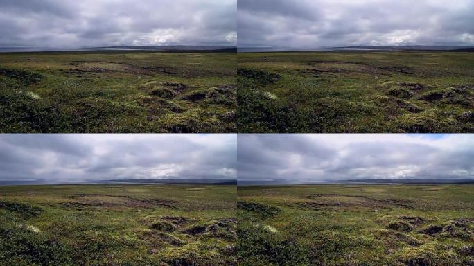 冰岛的苔藓和地衣景观。