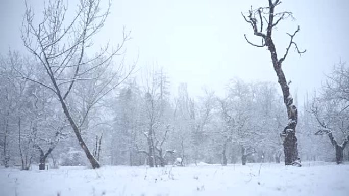 下雪下雪素材冬季景色