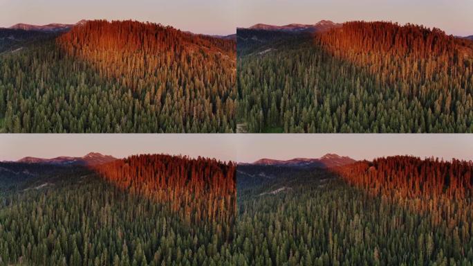加利福尼亚州雪松附近森林山坡上的橙色夜光-无人机射击